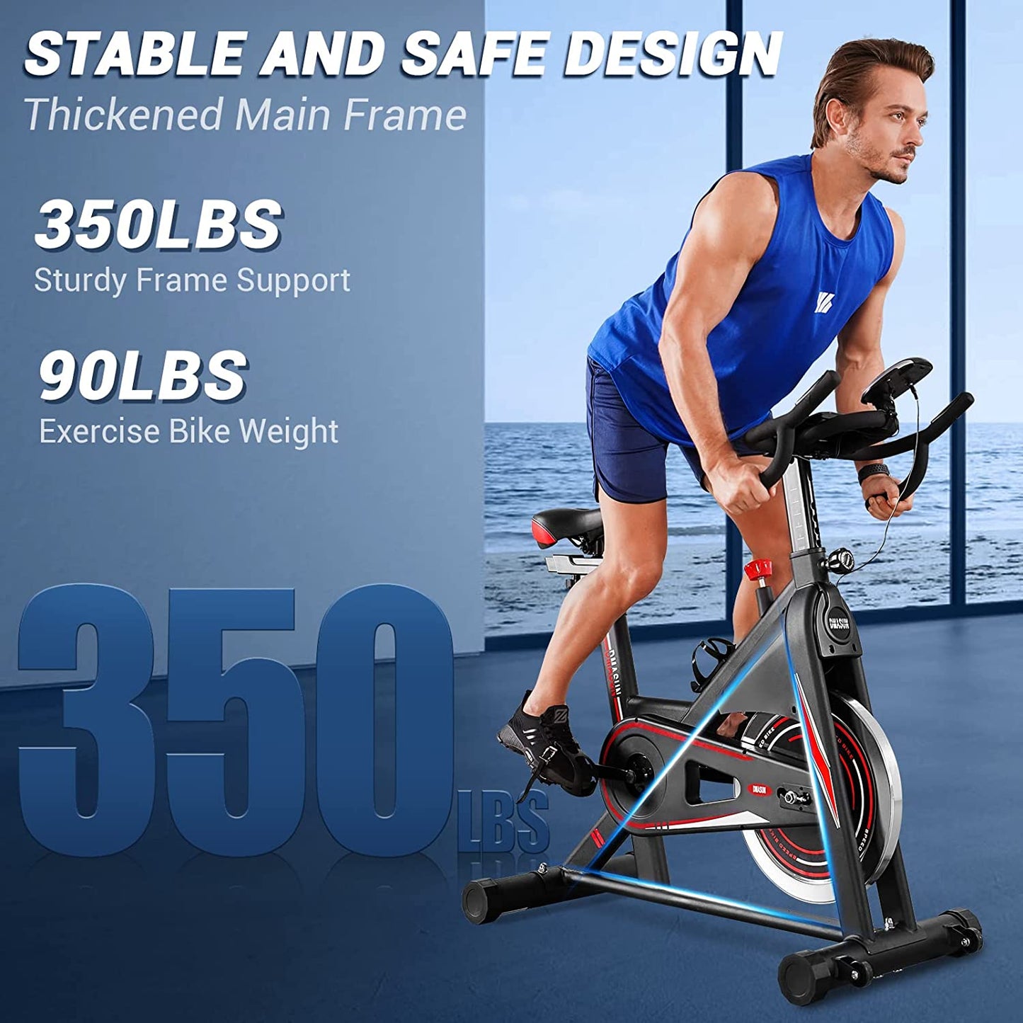 DMASUN Magnetic Resistance Pro Indoor Cycling Bike, 350lbs Capacity